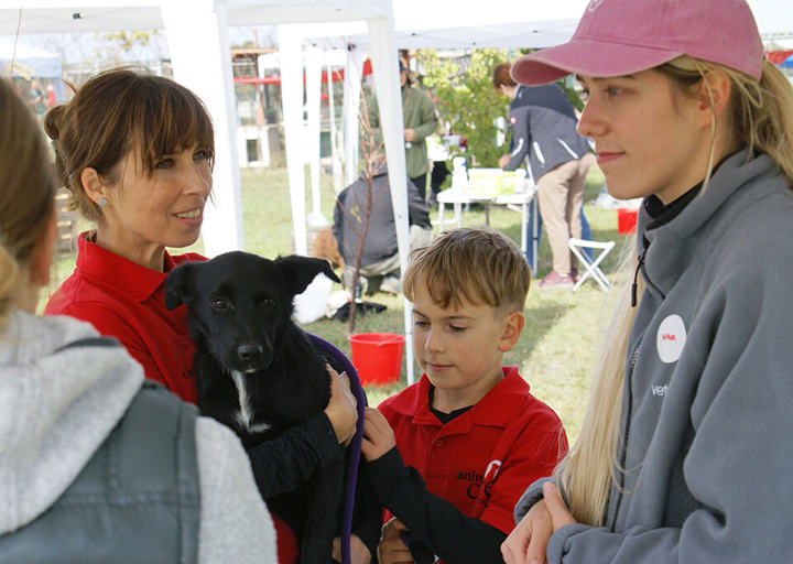 Kopie Von 25 10120150