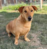 Willi 3