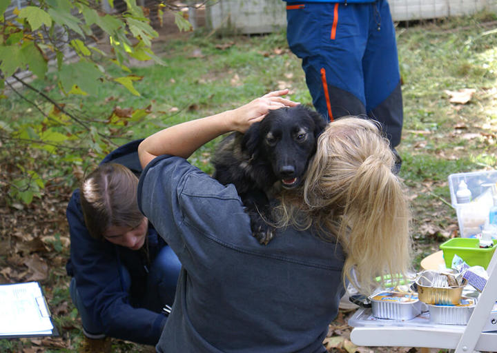 Kopie Von 25 10120242