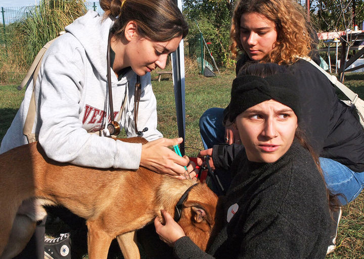 Kopie Von 25 10120509