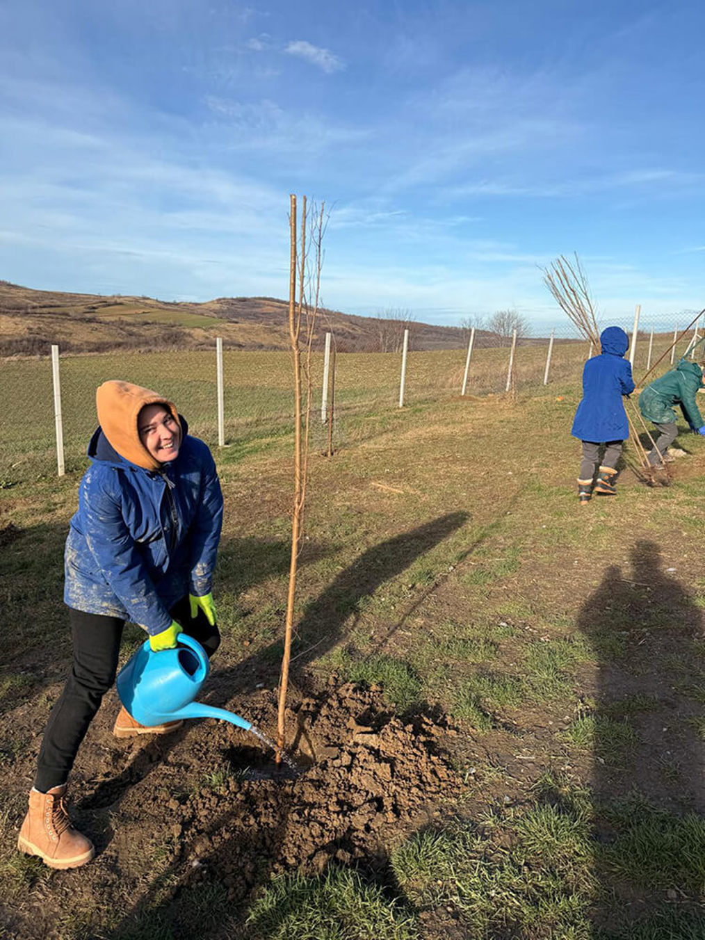 Aca Tierheim Svilos 6