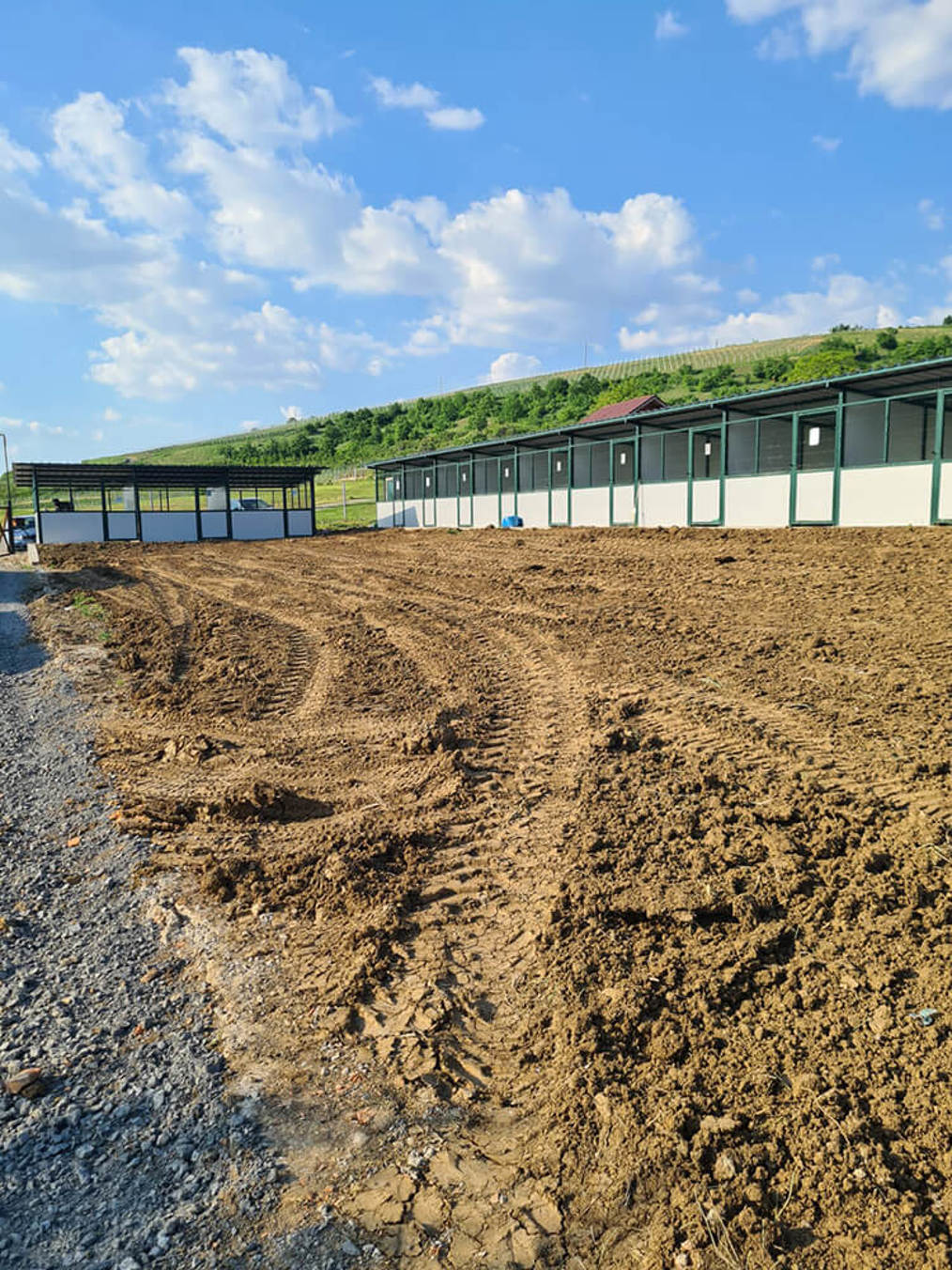 Aca Tierheim Svilos 2