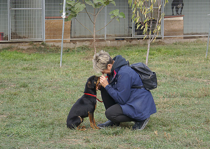 Kopie Von 25 10120288