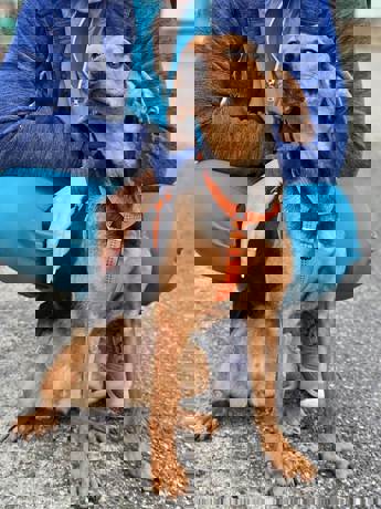 Dora 4