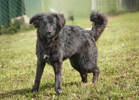 Ottilia 2 (2)