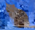 Karma 4