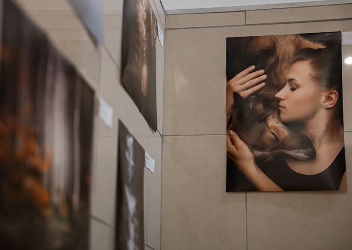 Charitydogphotoaward IMG 9710