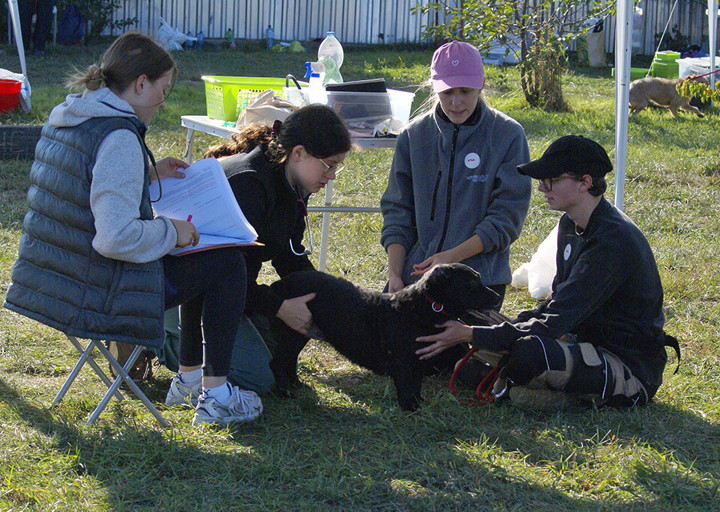 Kopie Von 25 10120571