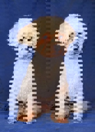 Baby 3