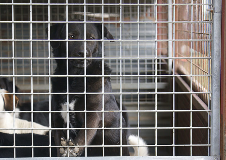 Kopie Von 25 10120266