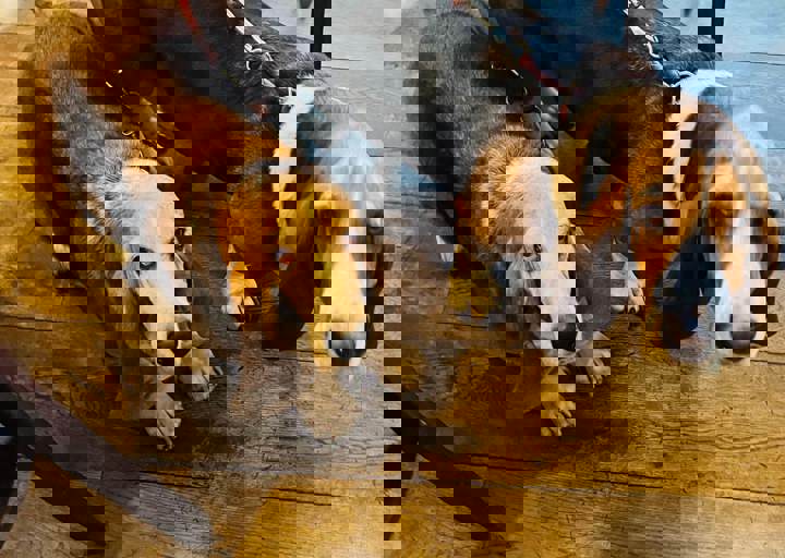 Aca Martys Party 2025 14