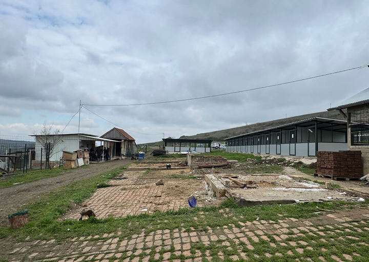 Aca Tierheim Svilos 14