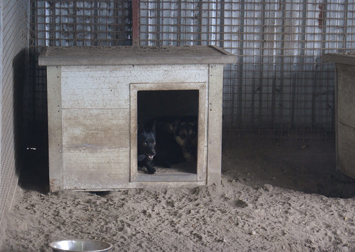 Kopie Von 25 10120256