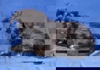 Bogi 2