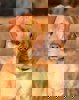 Simon 4