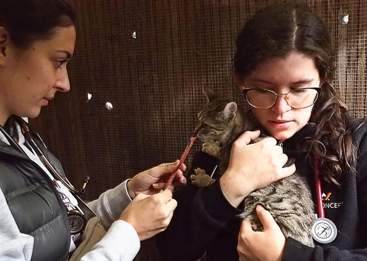 Kopie Von 25 10120300