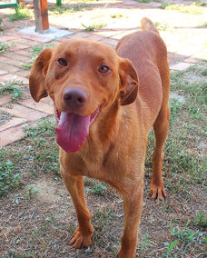 Romeo 1 (1)
