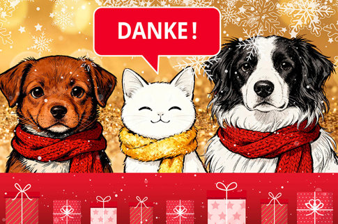 Aca Winterpackerl Danke Teaser 2025