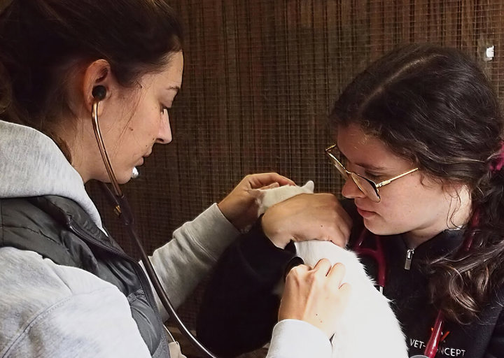 Kopie Von 25 10120289