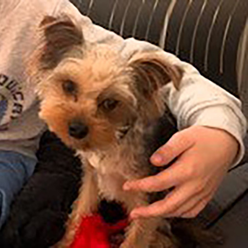 Tico