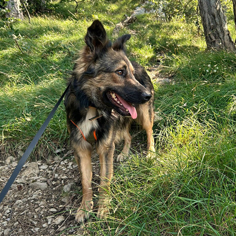 Cooper1