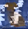 Nicholas 3