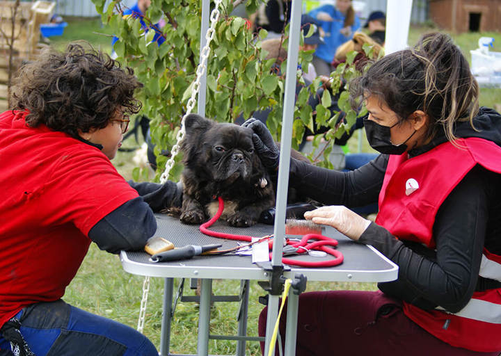 Kopie Von 25 10120439