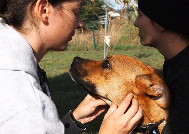 Kopie Von 25 10120503