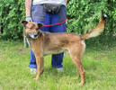 Fido 2